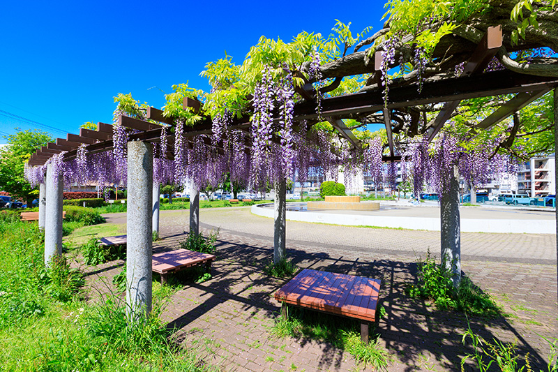 さざなみ児童公園