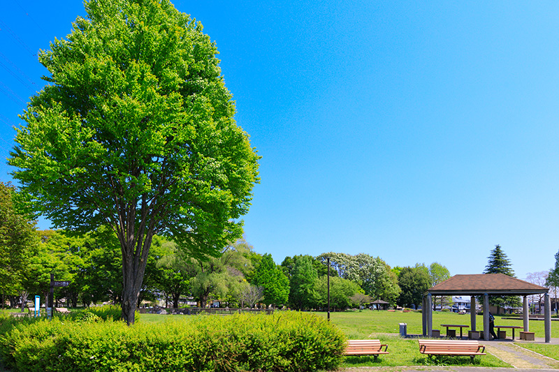 今泉中央公園