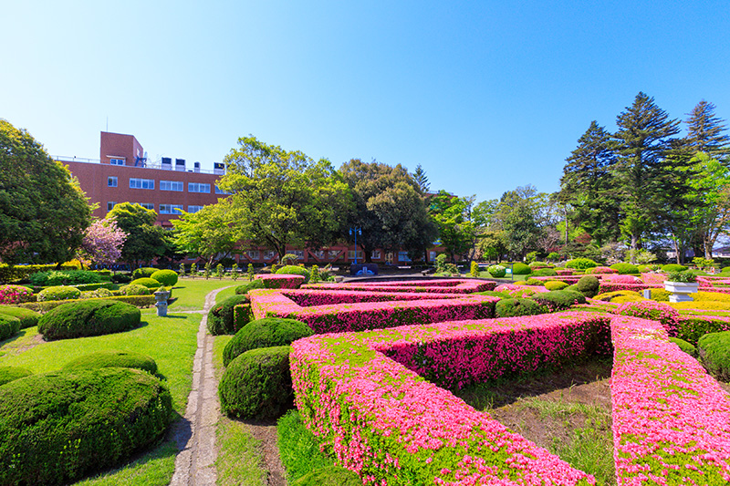 宇都宮大学