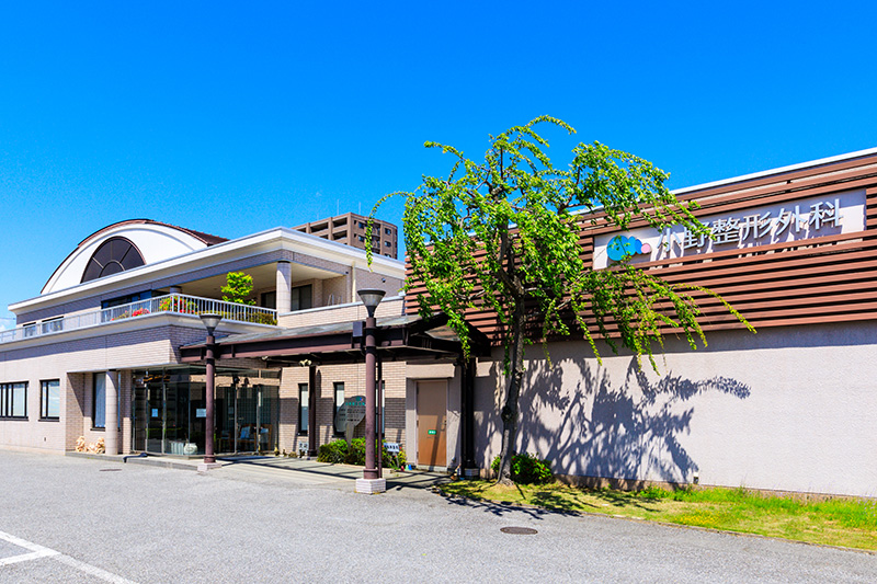 小野整形外科