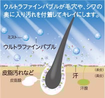 image illust