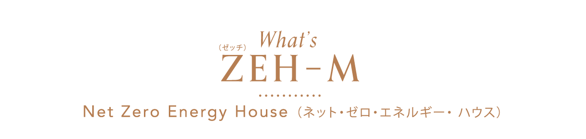 What's ZEH-M