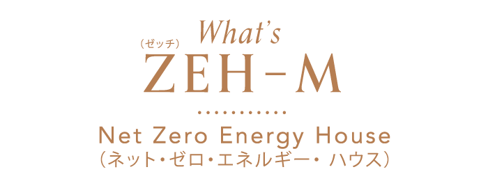 What's ZEH-M