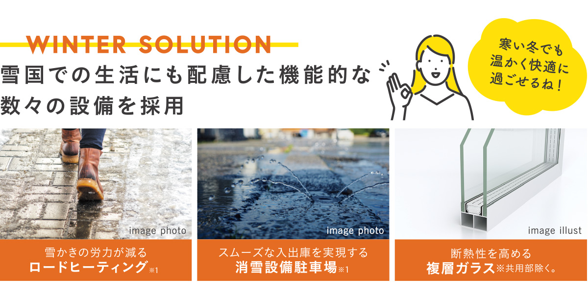 WINTER SOLUTION