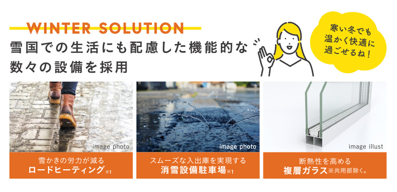 WINTER SOLUTION