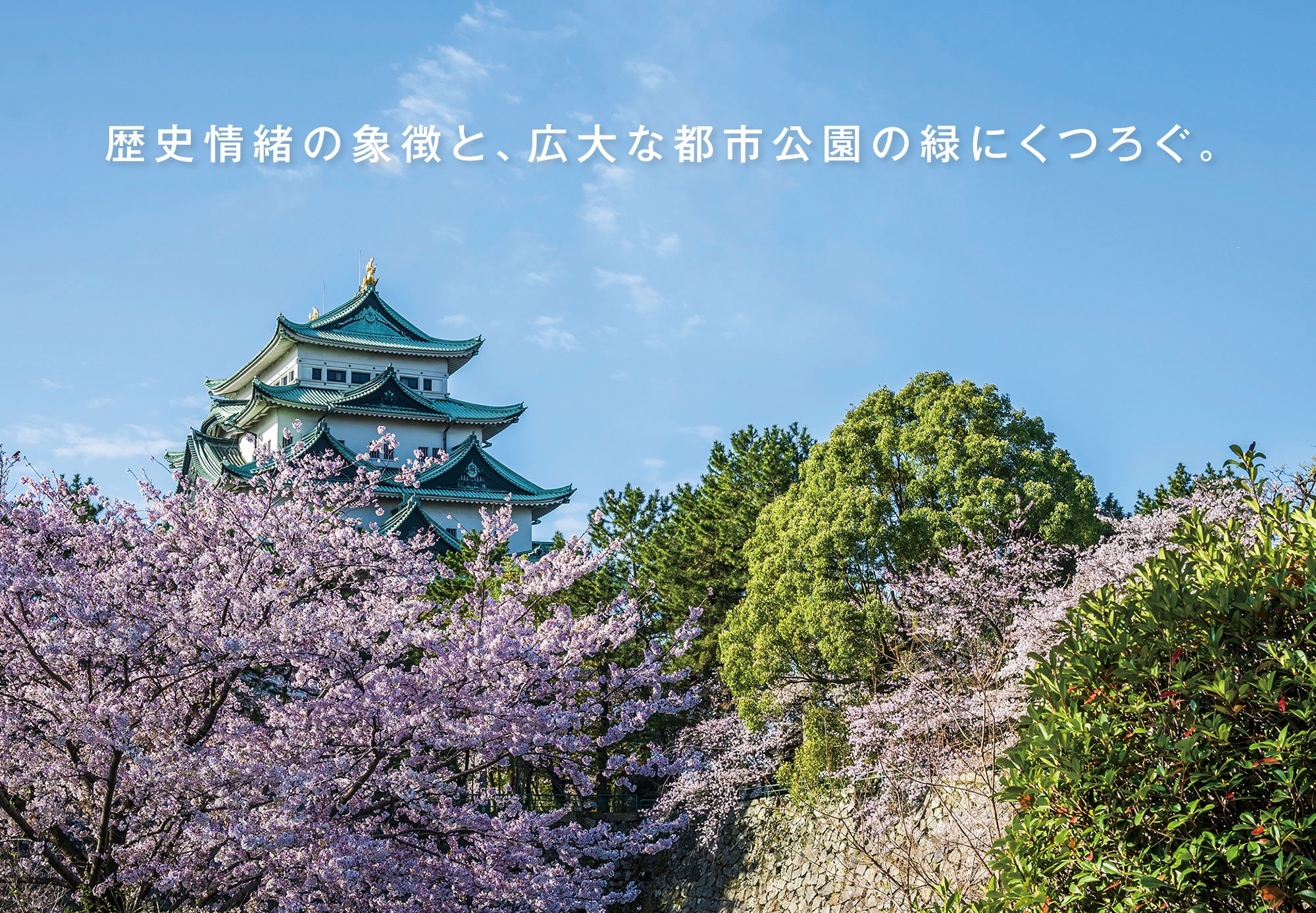 名古屋城(徒歩8分／約620m) image photo