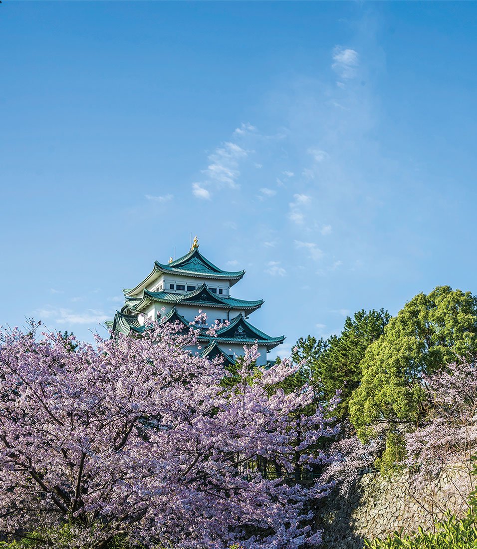 名古屋城(徒歩8分／約620m) image photo