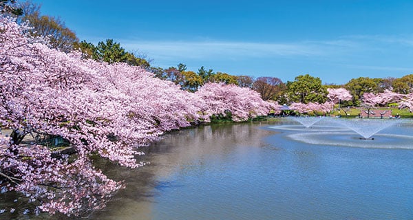 名城公園（徒歩12分／約930m） image photo