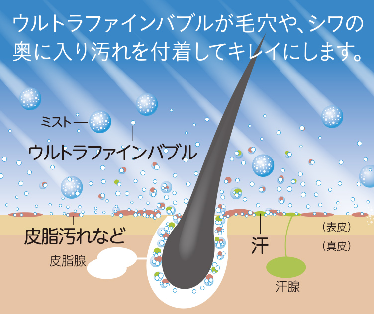 image illust