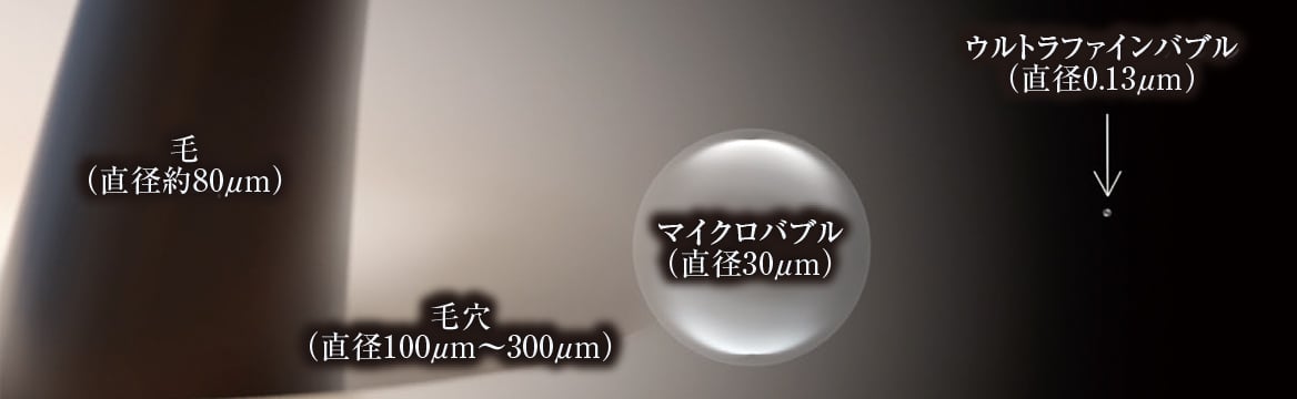 image illust