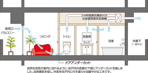 image illust