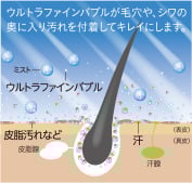 image illust
