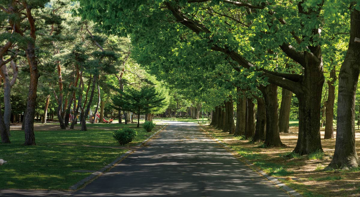 円山公園（徒歩17分／約1,330m）