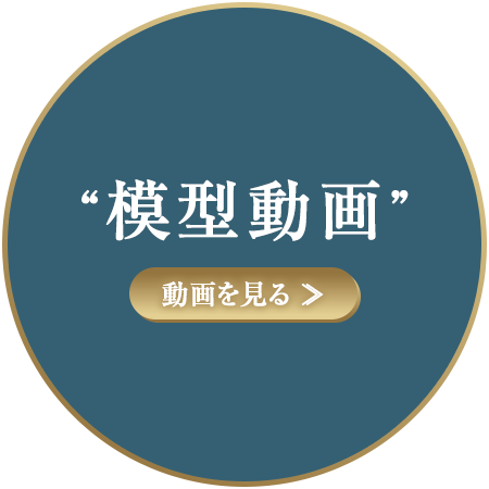 模型動画