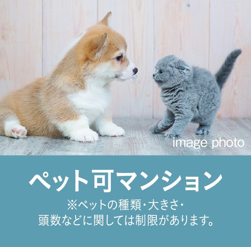 ペット可マンション