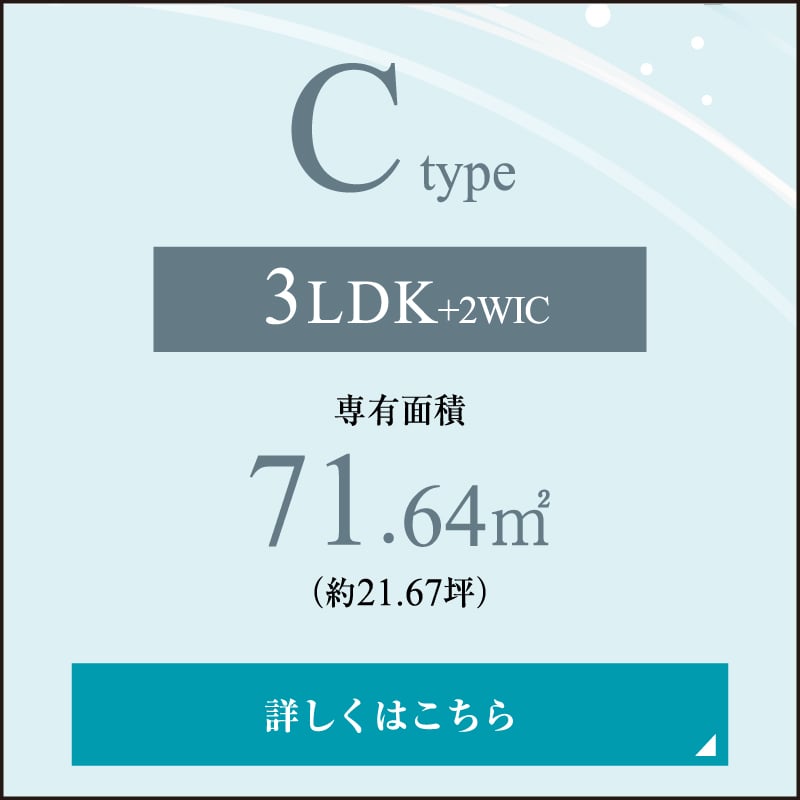 C type