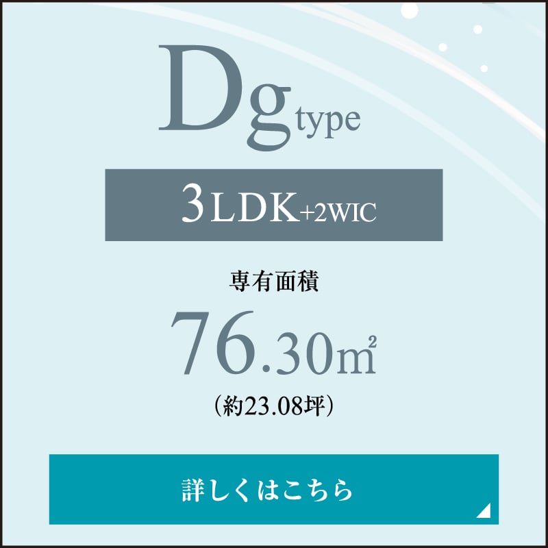 Dg type