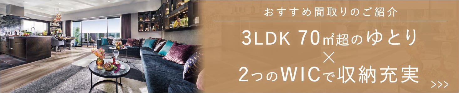 ピックアッププランctype