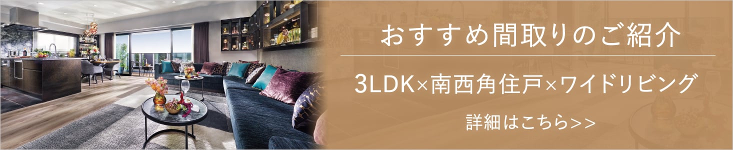 ピックアッププランDtype