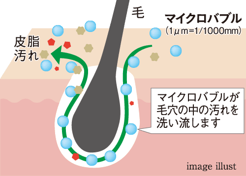 image illust
