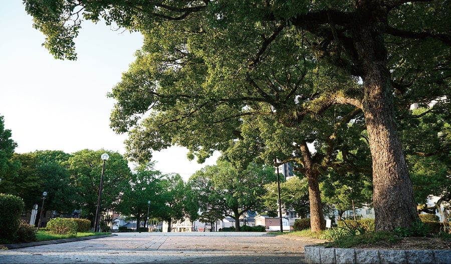 晴海公園（徒歩4分／約310m）