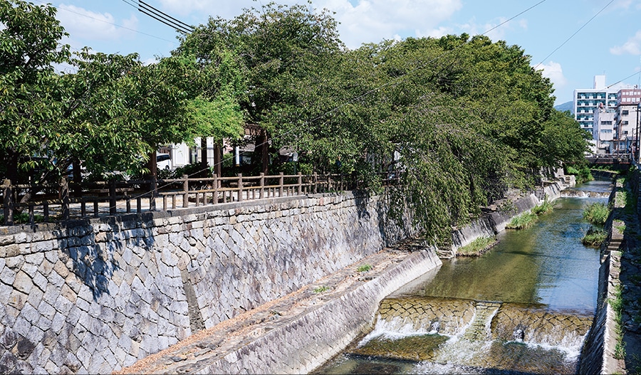 東川緑地公園（徒歩7分／約530m）