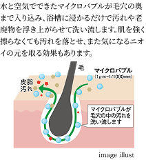 image illust