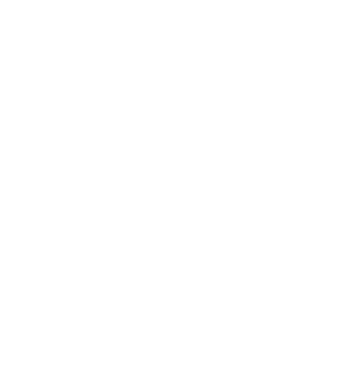 行き交う人の視線を釘付にする灯