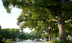 青空公園