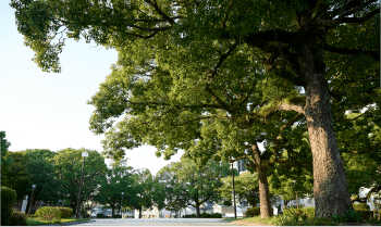青空公園