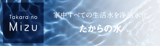 たからの水