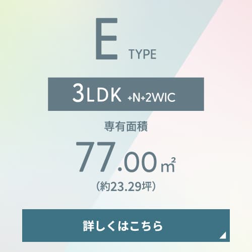 E type