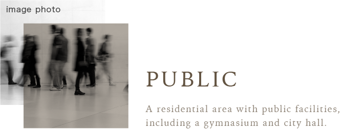 PUBLIC