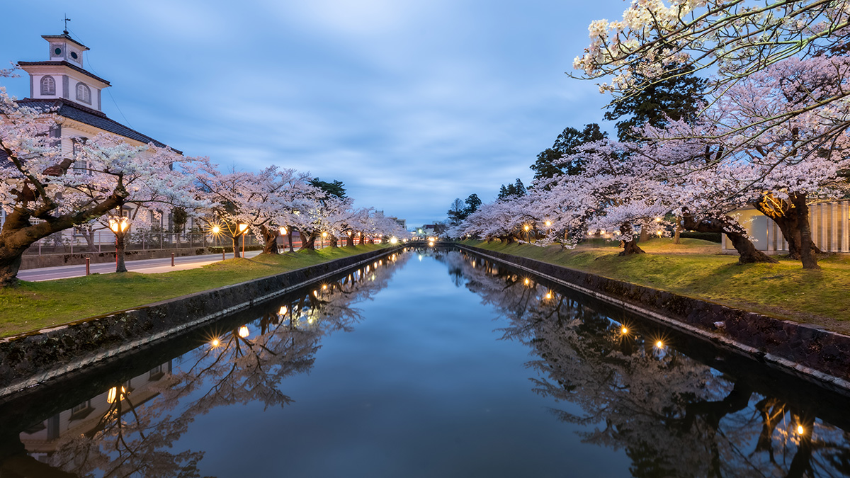 鶴岡公園（徒歩5分）