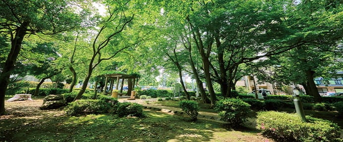 谷津の森公園1