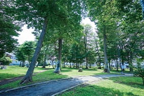 緑の散歩道権平山