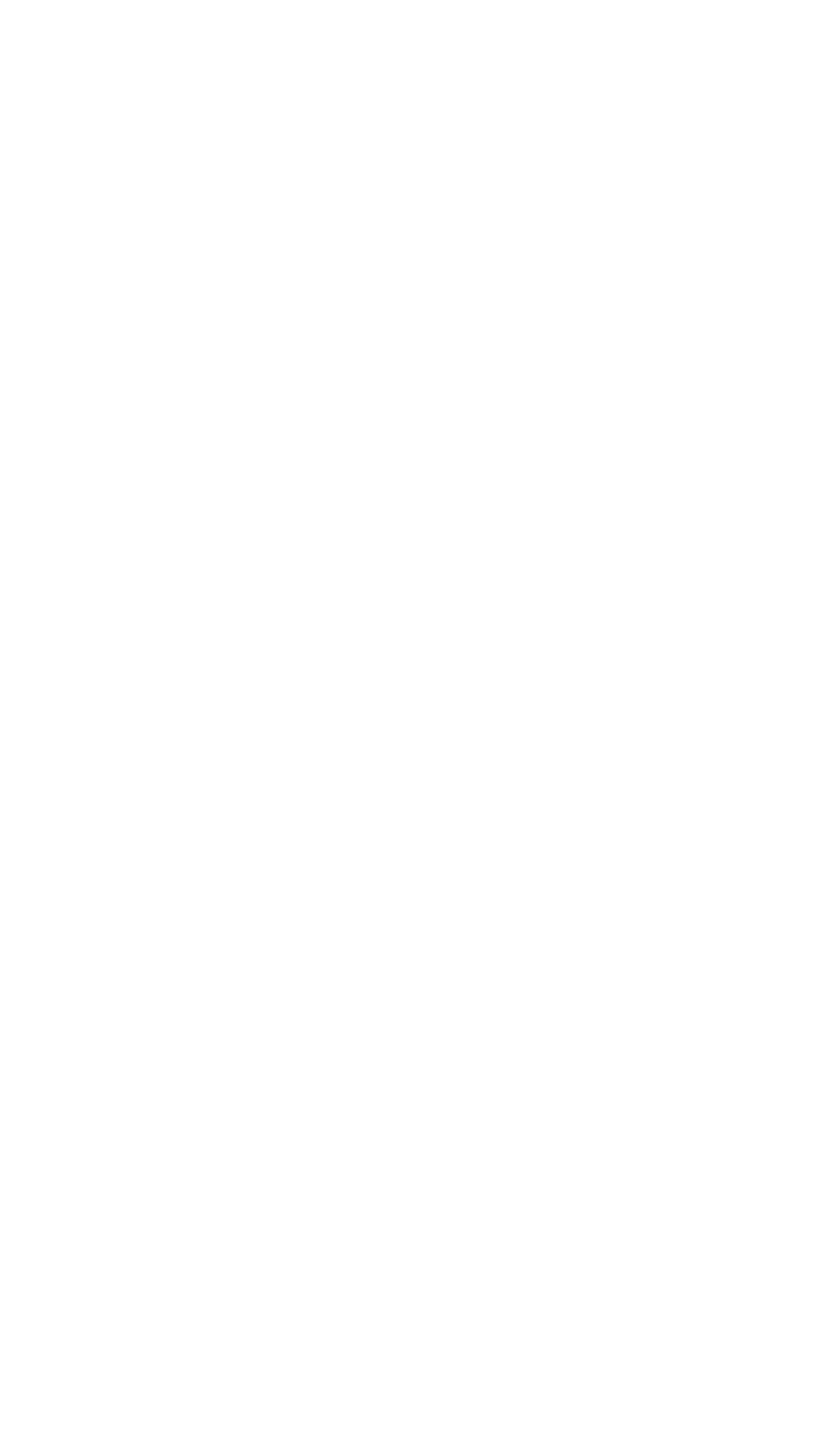 歴史×未来、伝統×革新。