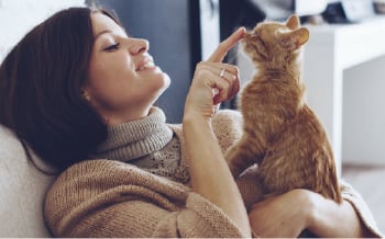 ペット可マンションimage photo