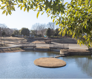 近隣公園