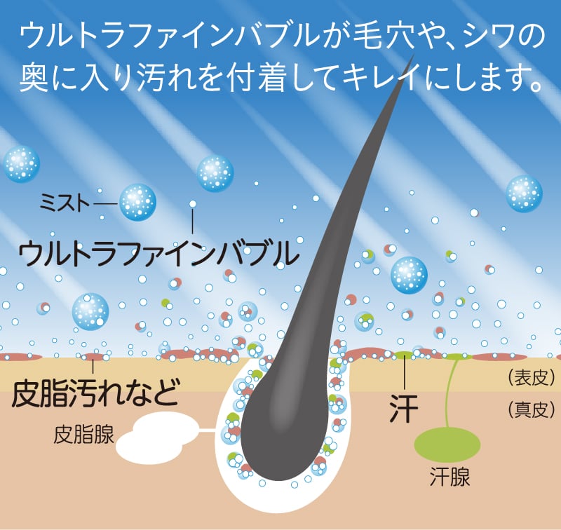 image illust