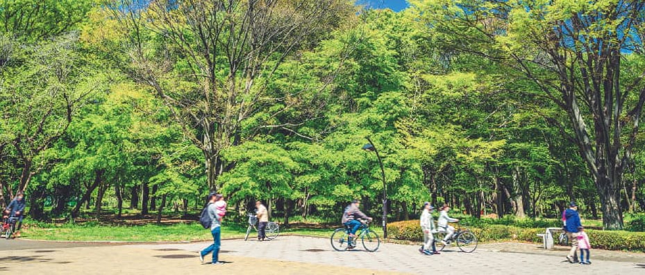 光が丘公園