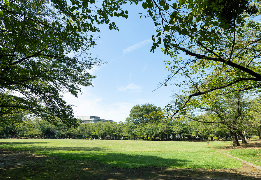 蕨市民公園