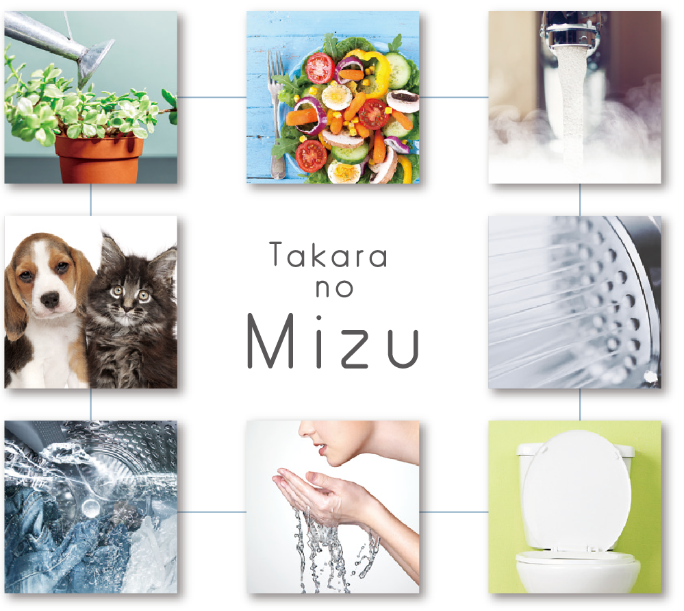 all image photo