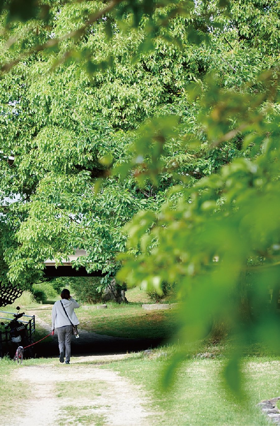 石手川緑地歩4分（約270m）