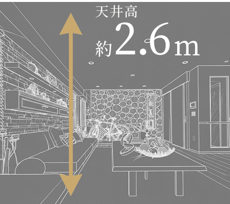 天井高2.6m