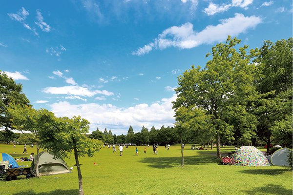 やまいちサステナパーク七北田公園