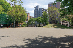 11.さつき公園