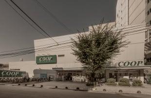 COOP 柏木店(徒歩2分/約100m)