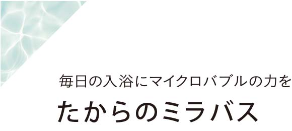 たからのミラバス