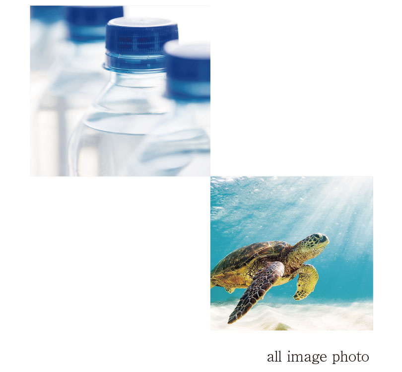 all image photo
